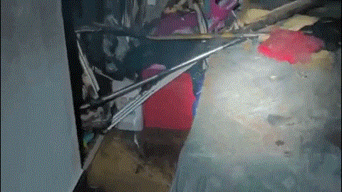 1.gif