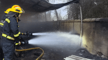 5.gif